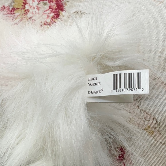 Yorkie - Picture 3 of 3